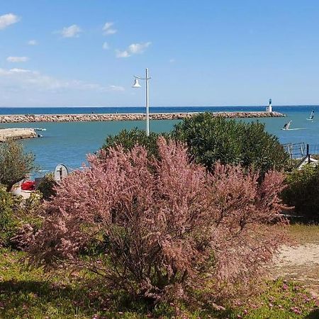 T3 Carnon, 1Ere Ligne 50M Plage Terrasse Parking Mauguio Zewnętrze zdjęcie